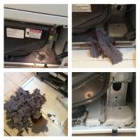 Lint collects inside the body of the dryer as well as the dryer vent, so both need to be thoroughly cleaned.